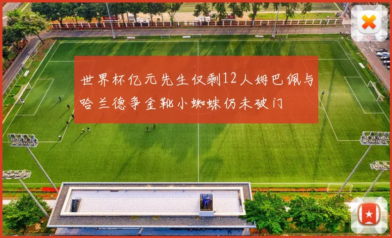 世界杯亿元先生仅剩12人姆巴佩与哈兰德争金靴小蜘蛛仍未破门